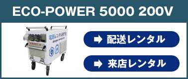 エコ・パワー5000 200v